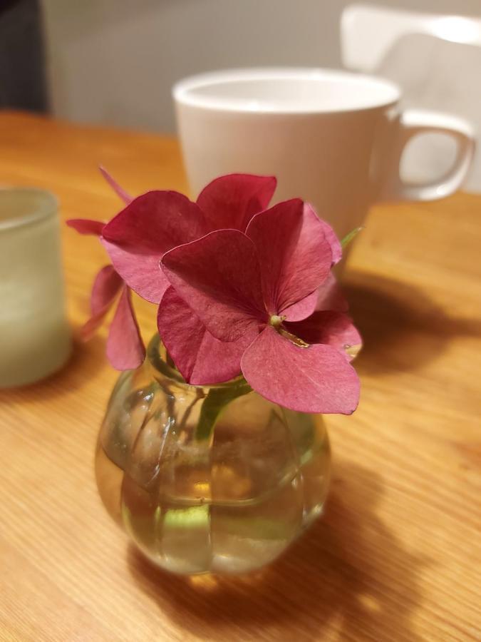 Bed & Breakfast Hof Woelper Raven Soderstorf